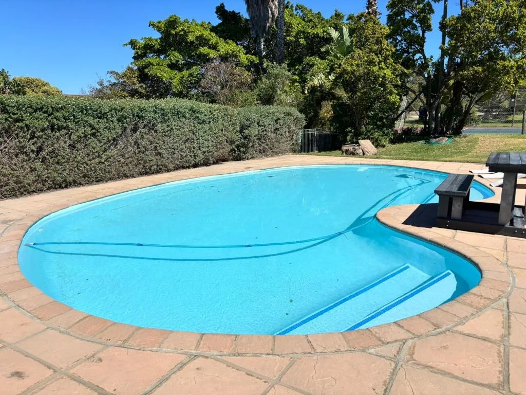 Bright blue swimming pool with terracotta surround and manicured hedges