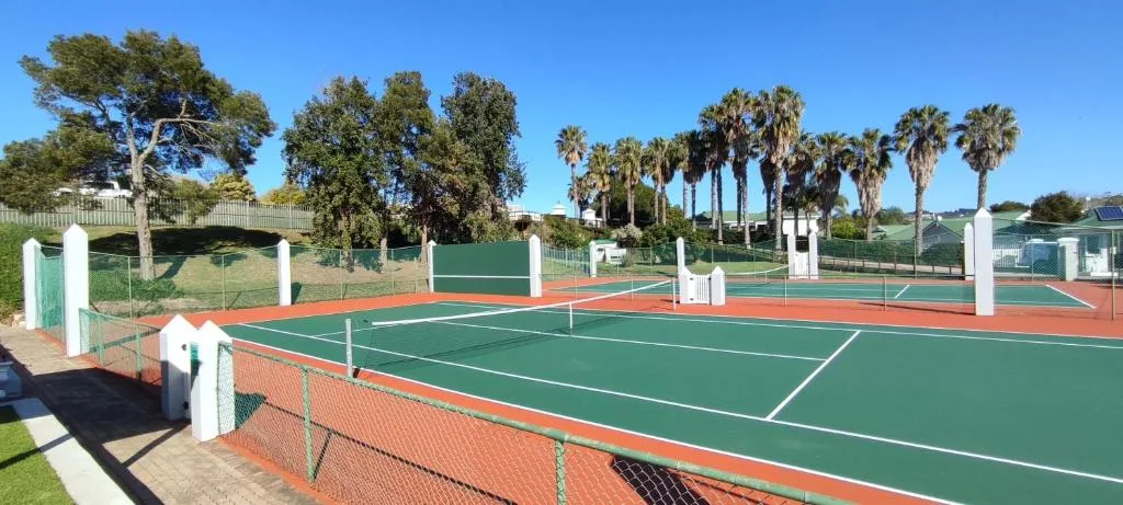 Tennis courts with palm trees and green surroundings in clear sunshine