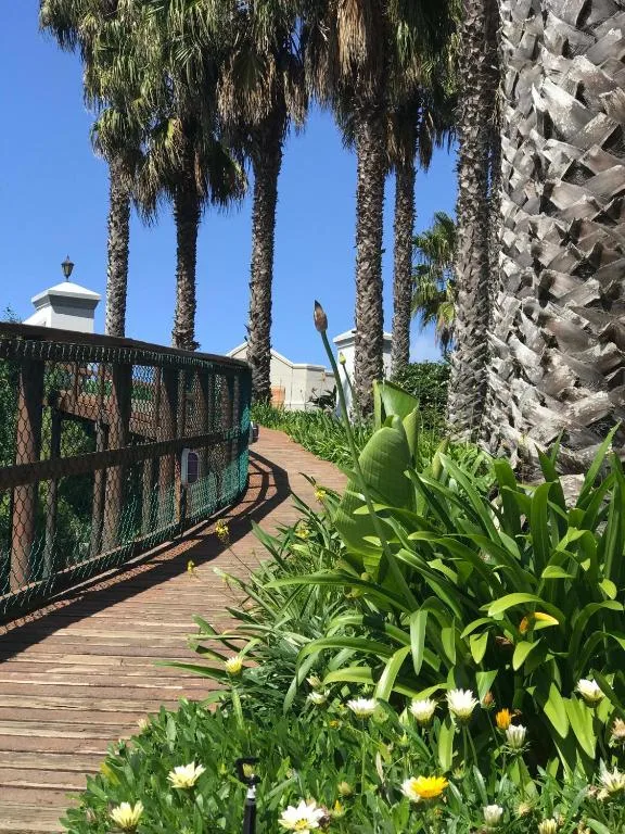 Palm-lined wooden deck pathway with flowering garden beds and property entrance