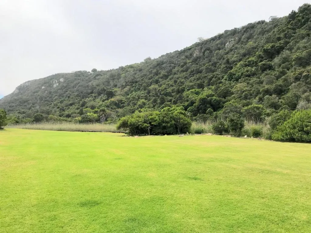 Lush green lawn with forested hillside and mountain backdrop
