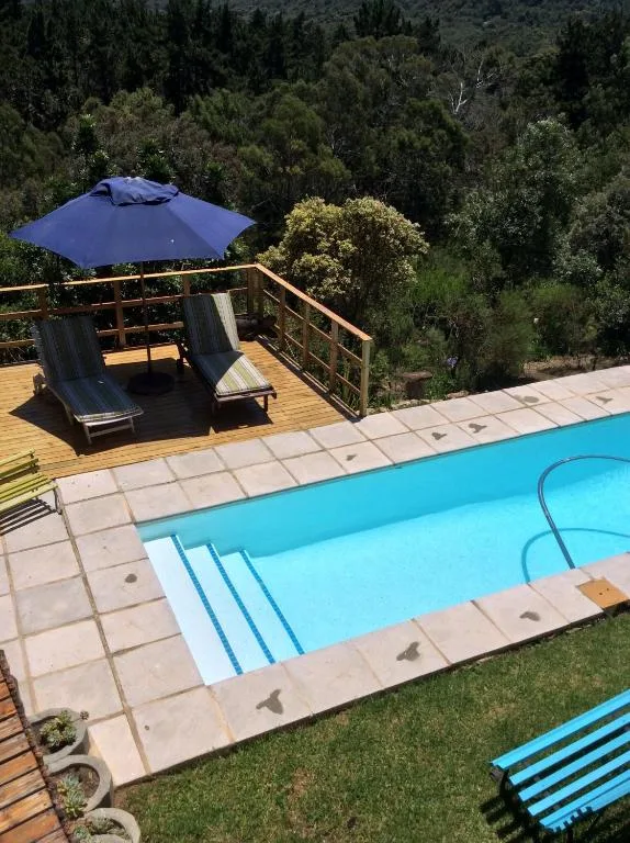 Swimming pool with deck chairs and blue umbrella overlooking forested valley
