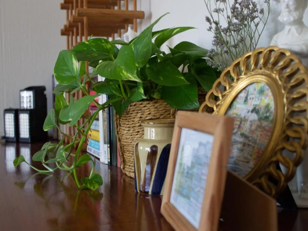 Decorative tabletop arrangement with potted plants, framed photos, and ornaments