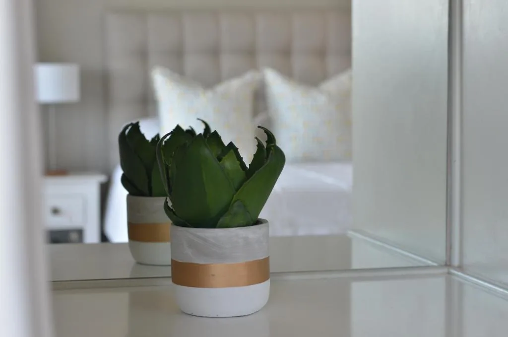 Potted succulent plant with white striped ceramic pot on bedroom dresser