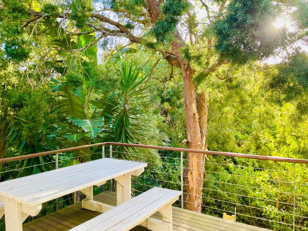 Wooden deck with picnic table nestled among lush green trees and vegetation