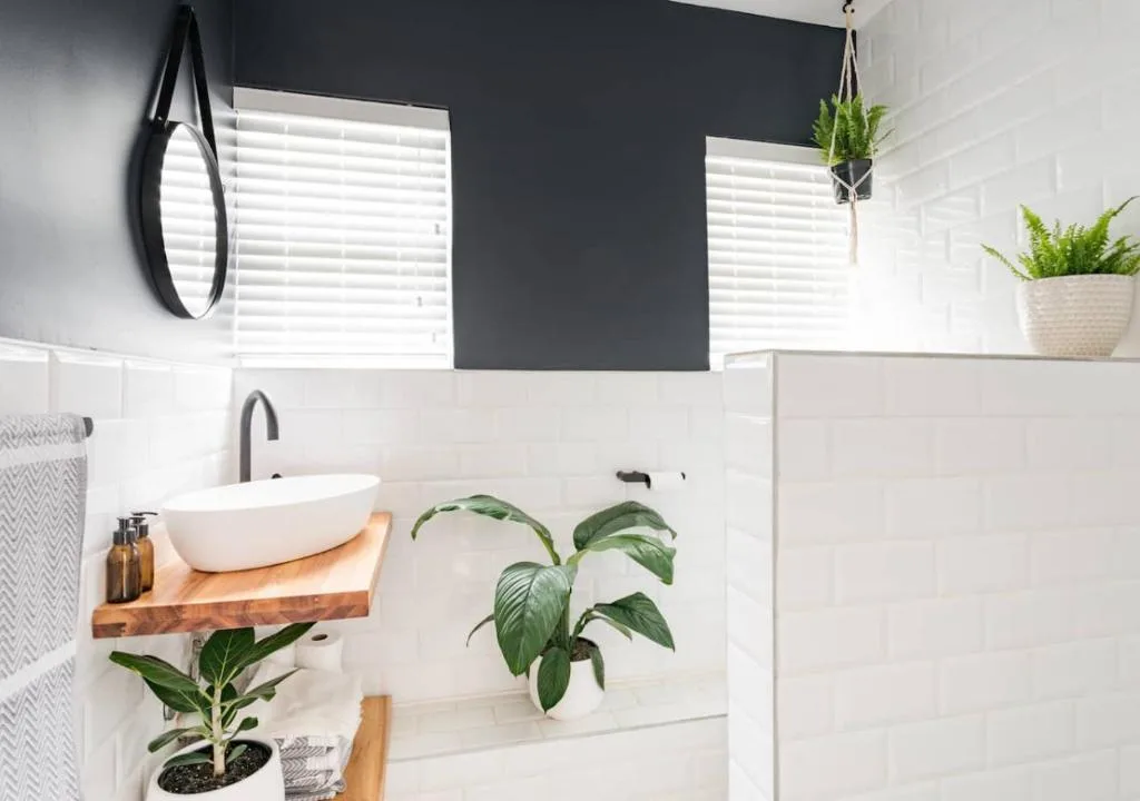 Modern bathroom with white vessel sink, black mirror, and potted plants