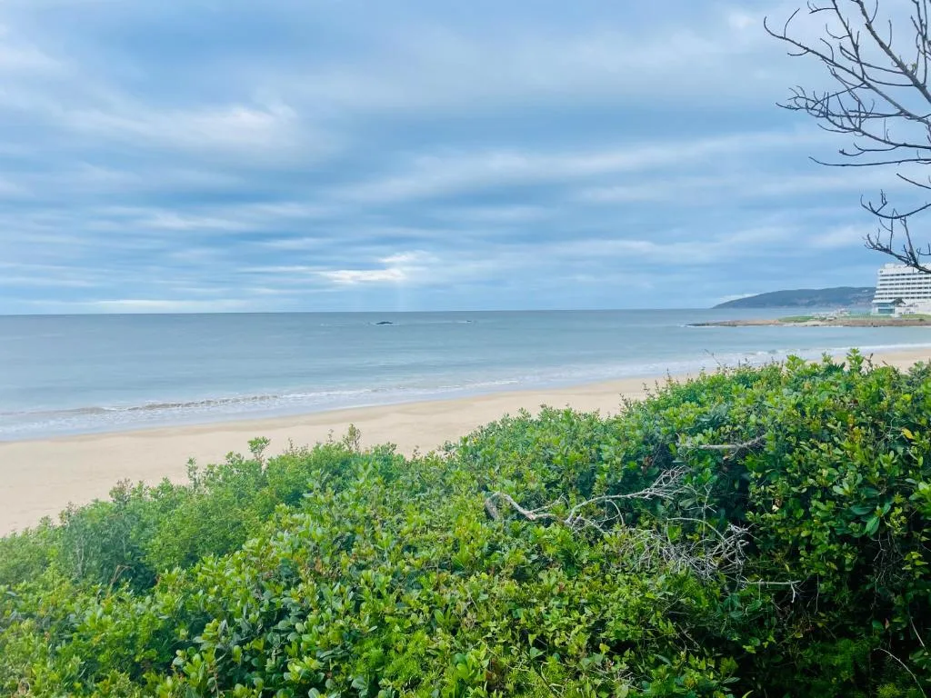 Pristine beach with turquoise water and coastal vegetation