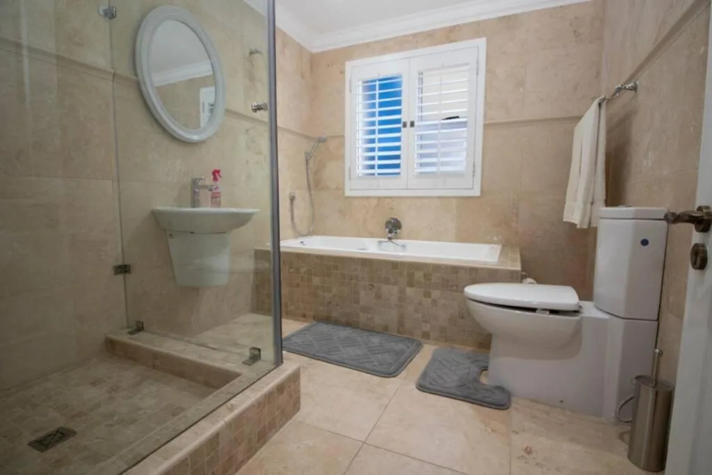Modern bathroom with walk-in shower, vanity sink, and toilet