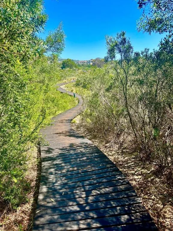Winding wooden boardwalk through lush vegetation with distant hilltop views