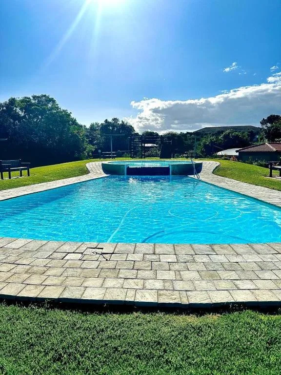 Crystal clear swimming pool with surrounding patio and manicured gardens