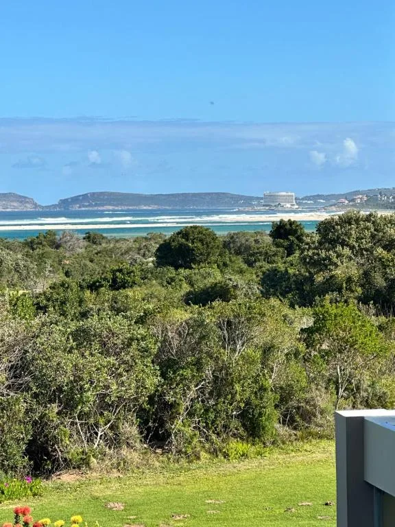 Turquoise lagoon and coastal cliffs visible beyond lush native vegetation