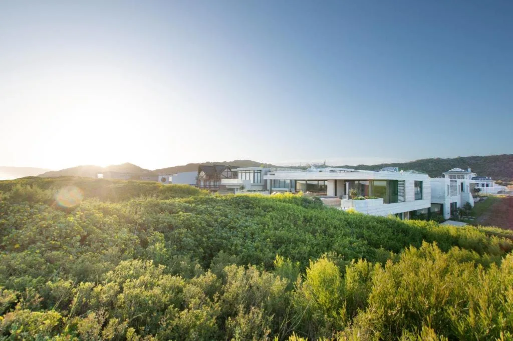 Modern white property nestled among native fynbos vegetation with mountain views