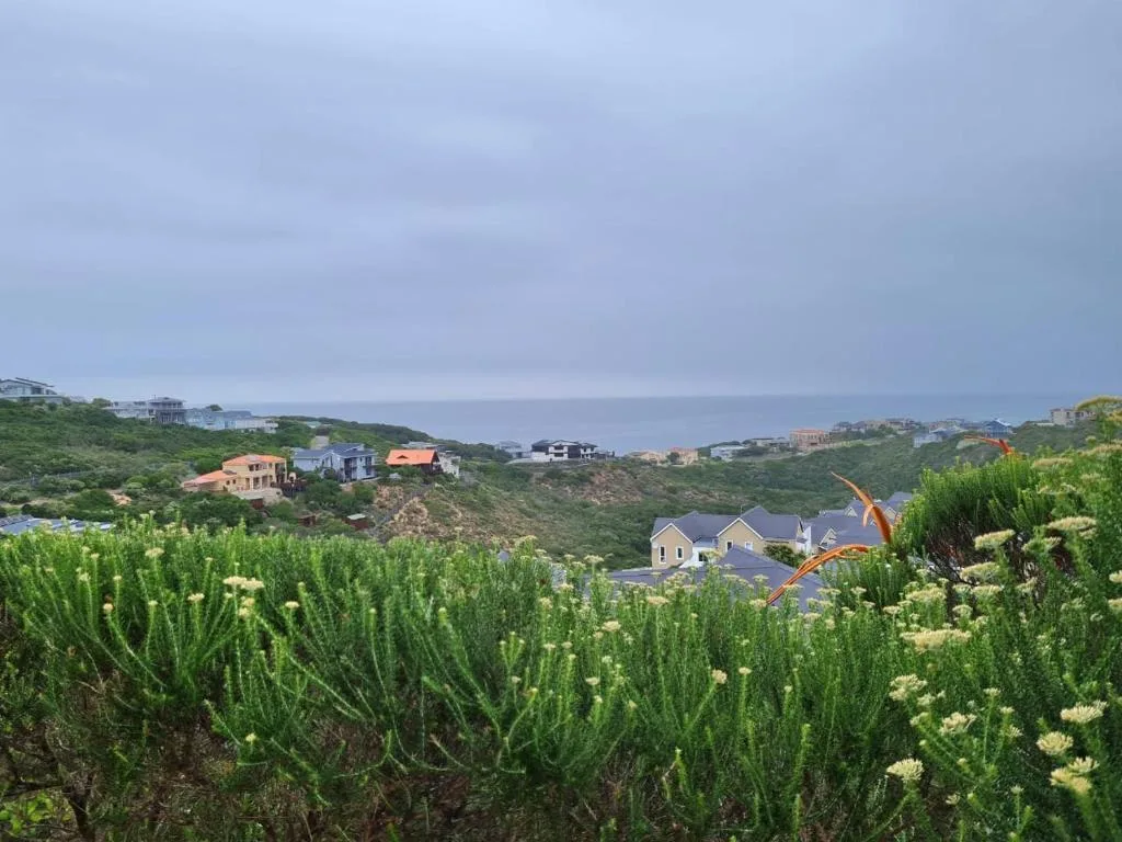 Coastal village nestled among green hills overlooking the ocean and beach