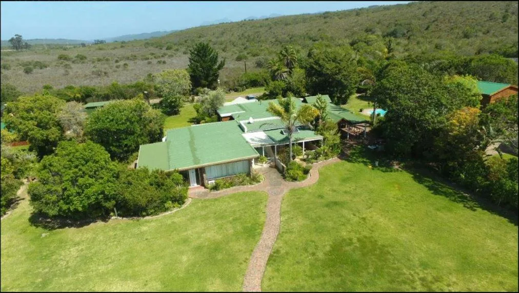 Modern green-roofed cottage nestled among lush gardens and trees overlooking Swartvlei Lake