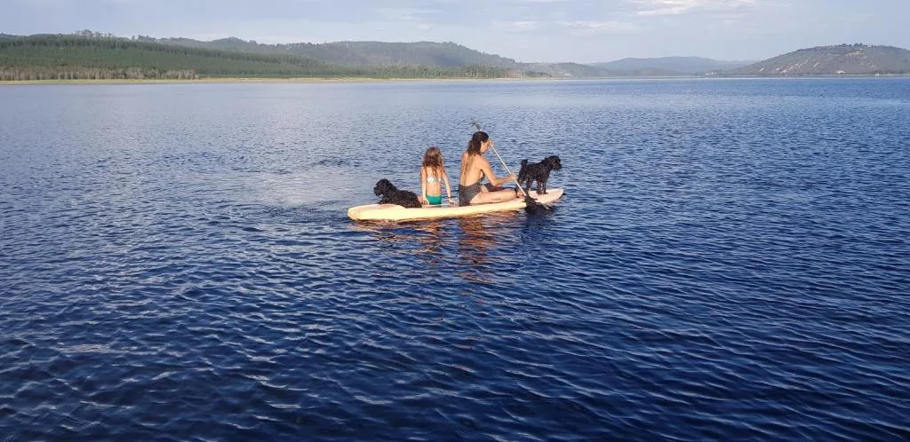 Scenic lake view with mountains, people paddleboarding with dogs on water