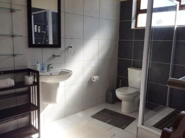 Modern bathroom with walk-in shower, vanity sink, and toilet