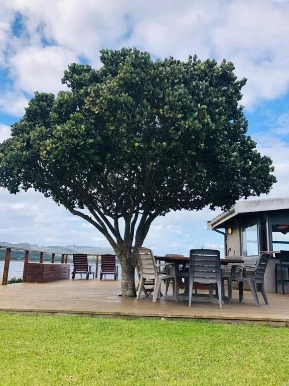 Spacious wooden deck with dining furniture beneath a majestic tree