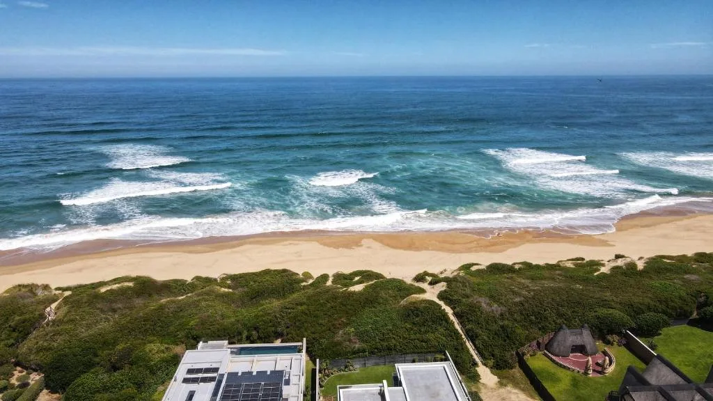 Aerial view of pristine beach with rolling waves and coastal vegetation