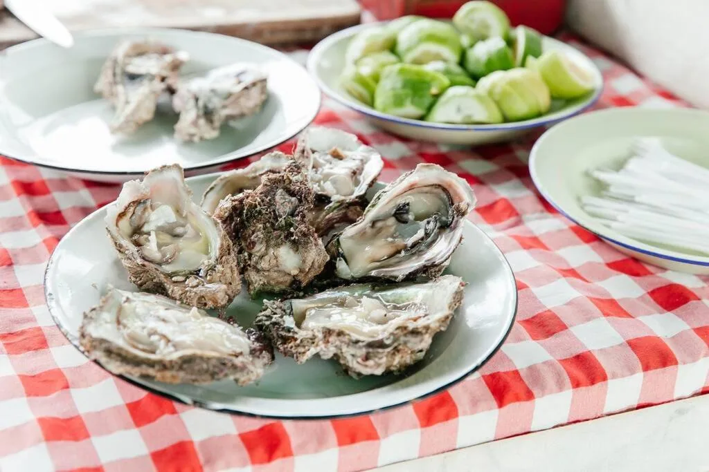 Fresh oysters plated on white dish with cucumber salad nearby