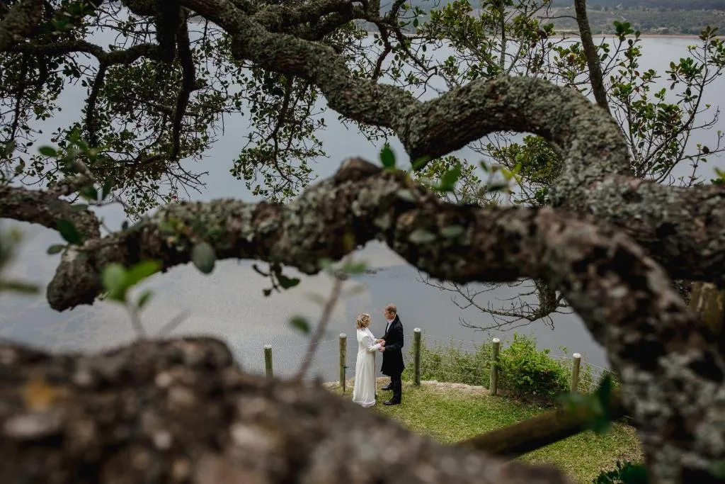 Couple standing on waterfront lawn beneath gnarled tree branches overlooking lagoon