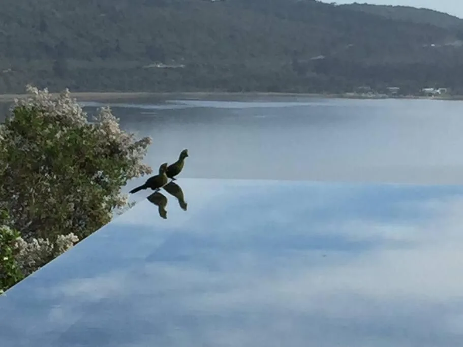 Scenic lagoon view with mountains and bird perched on vegetation