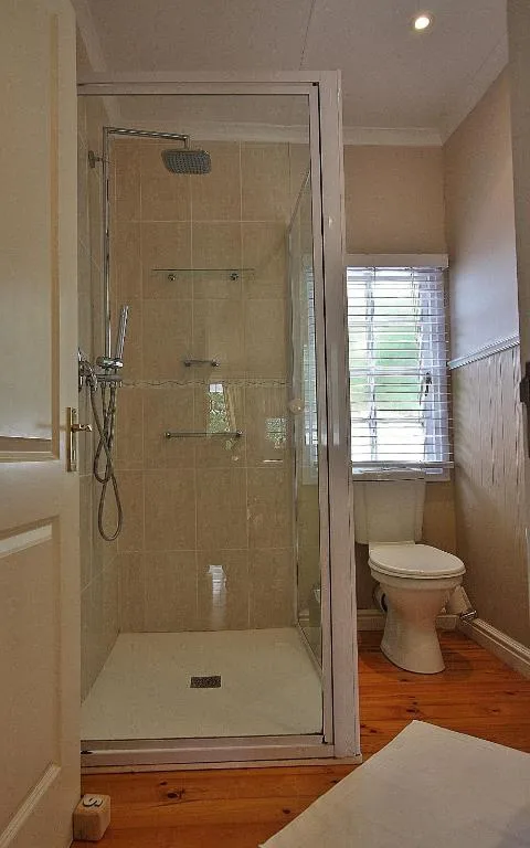 Modern glass-enclosed shower with rainfall showerhead and separate toilet