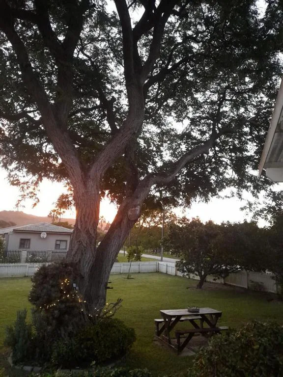 Large oak tree with picnic table on manicured garden lawn at sunset
