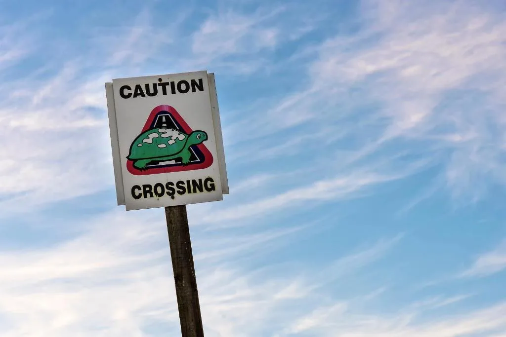 Caution crossing sign with turtle icon near property entrance