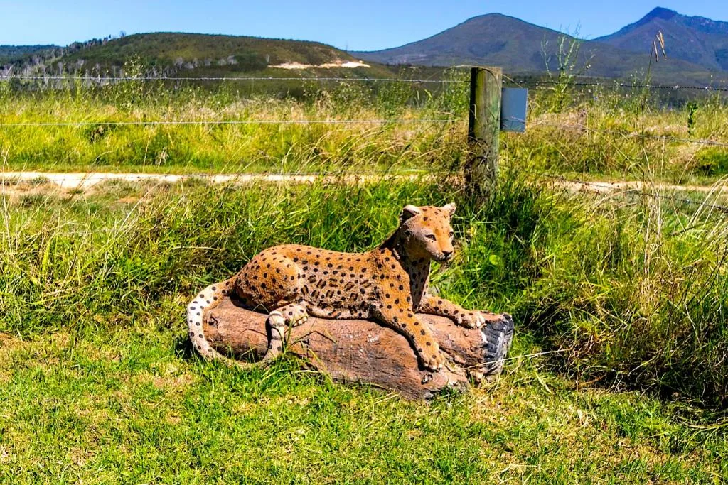 Decorative leopard statue on log in green garden meadow