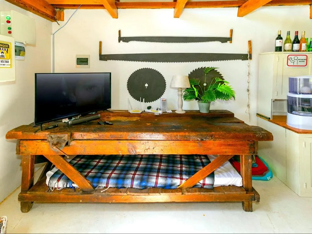 Rustic wooden workbench with TV, decorative saws, and potted plant