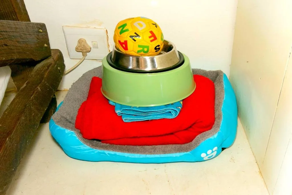 Colorful pet bed with toys and feeding bowl on floor