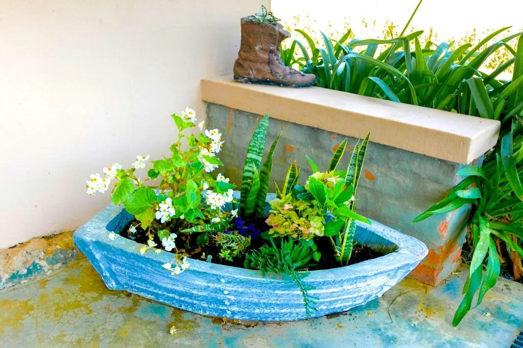 Blue painted boat planter with white flowers and green plants displayed outdoors