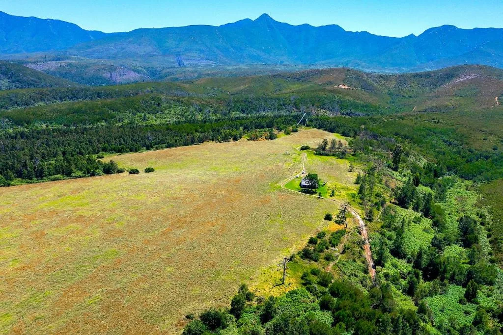 Sweeping mountain and valley views with forested landscape and distant peaks