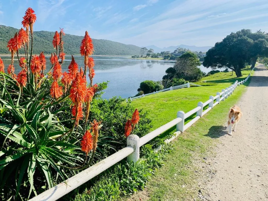 Scenic lagoon view with red flowers, green lawn, and forested mountains