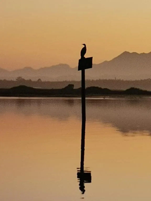 Golden sunset over lagoon with mountains and silhouetted bird perched on post
