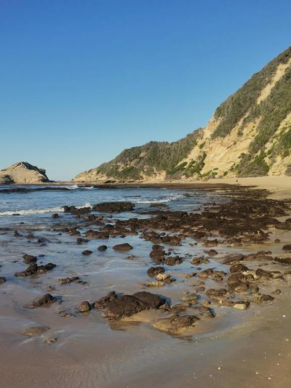Rocky beach with dramatic cliffside and ocean waters under clear skies