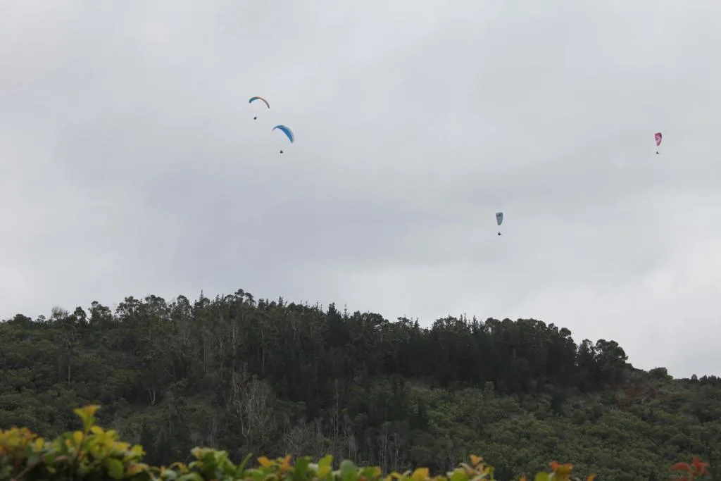 Scenic view of forested hills with paragliders soaring overhead