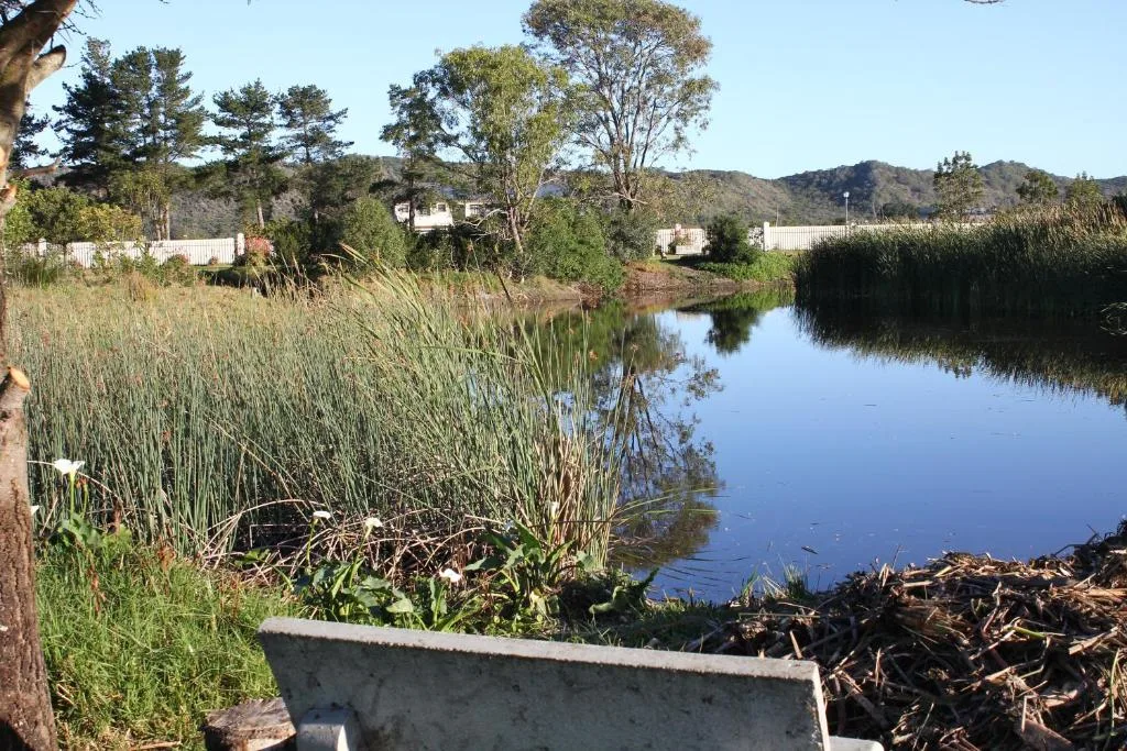 Peaceful lagoon view with reeds, mountains, and distant properties