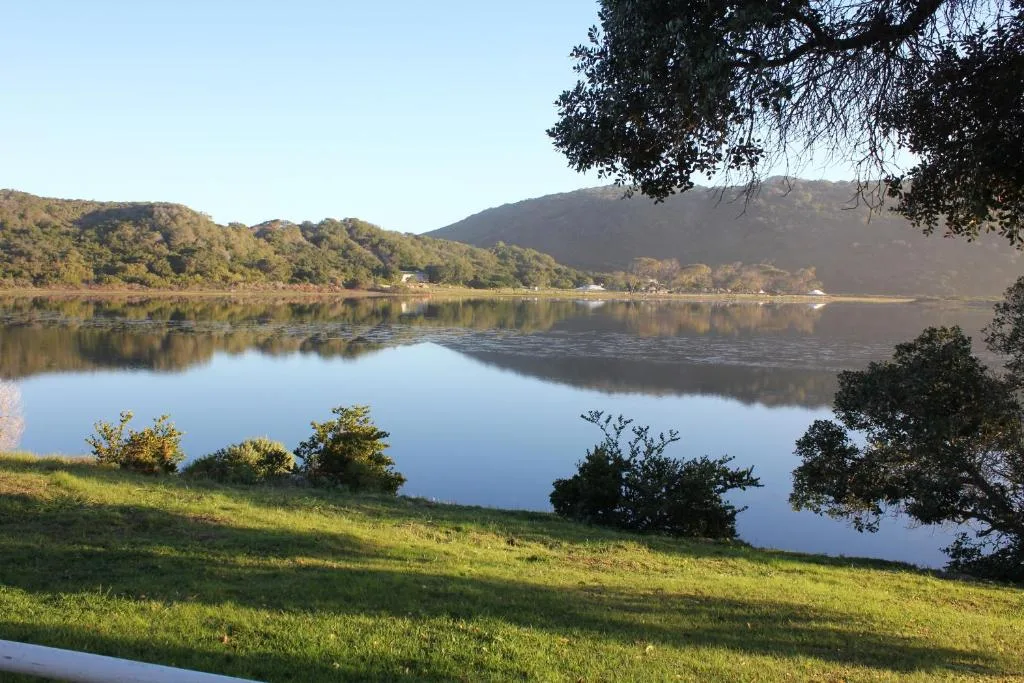 Serene lagoon view with tree-lined mountains and grassy foreground