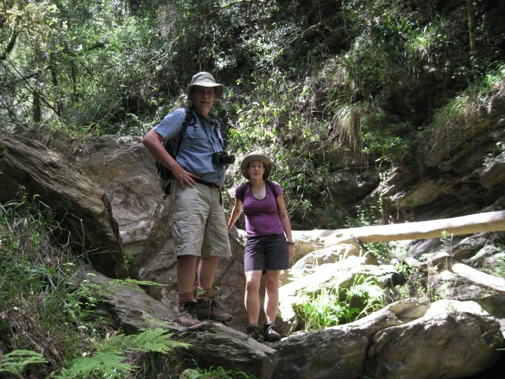 Hikers exploring a lush forest trail with moss-covered rocks and fallen logs