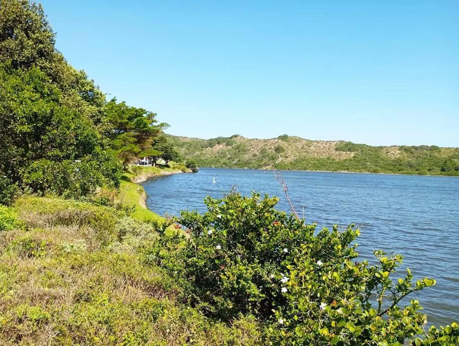 Lagoon water with green hills and vegetation, serene waterfront landscape
