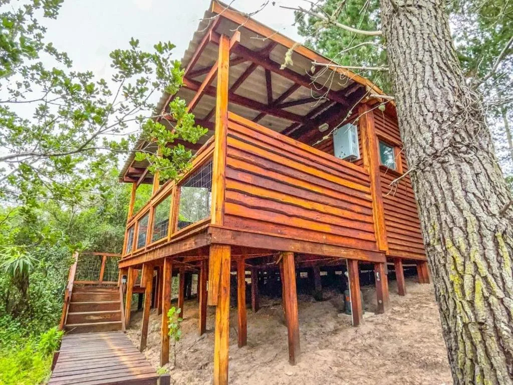 Elevated wooden cabin with red-brown corrugated siding nestled among trees