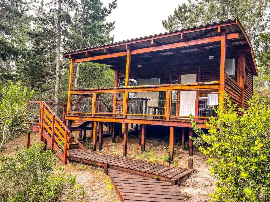 Wooden cabin with elevated deck and railing nestled among pine trees