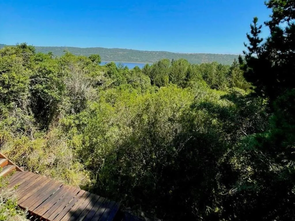 Scenic lagoon and mountain vista through lush green forest canopy