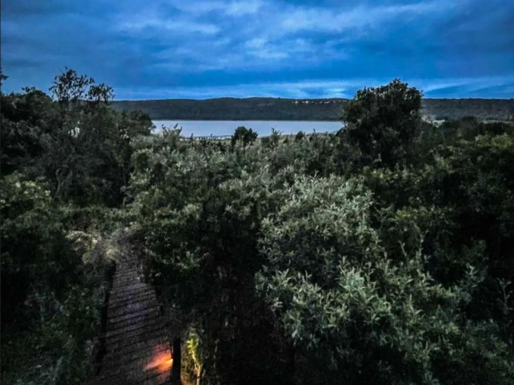 Scenic lagoon vista framed by lush fynbos vegetation under blue sky