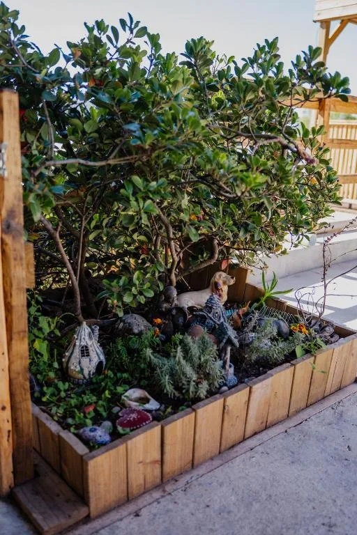 Wooden planter box with mature tree and flowering plants on deck