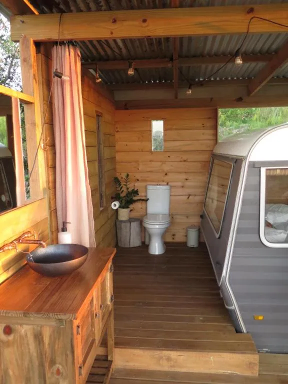 Rustic wooden bathroom with toilet, sink, and decorative plants