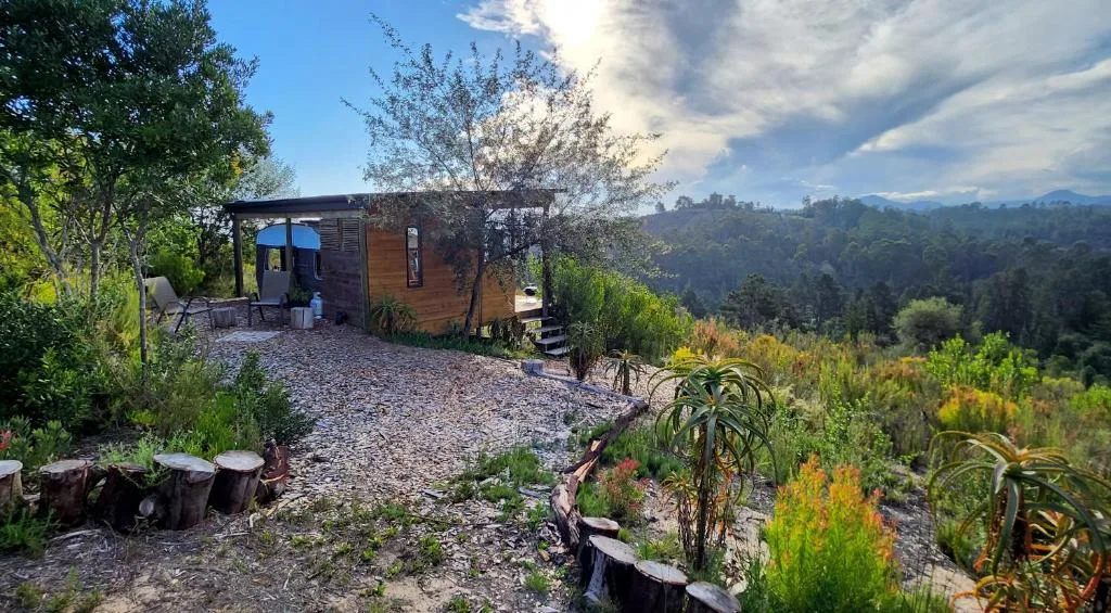Wooden chalet with pergola nestled in lush hillside garden landscape