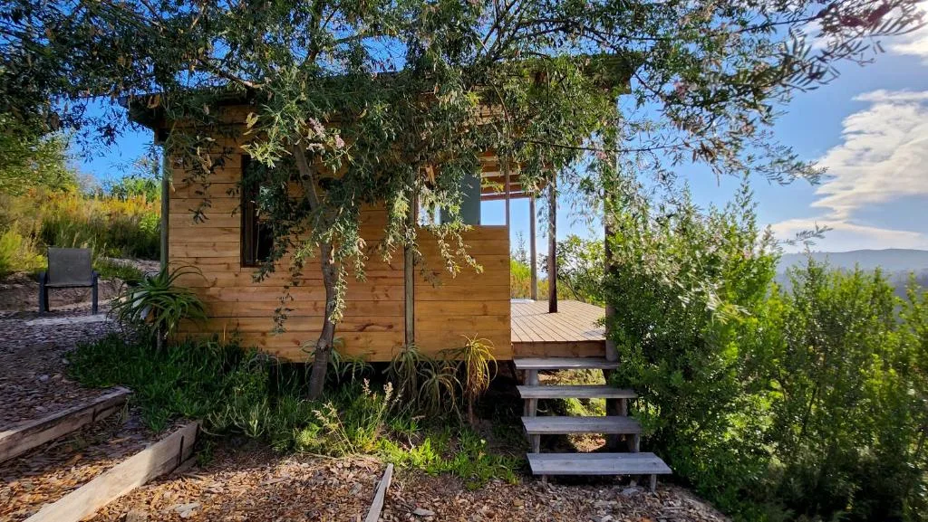 Wooden chalet with climbing vines and mountain views, entrance steps visible