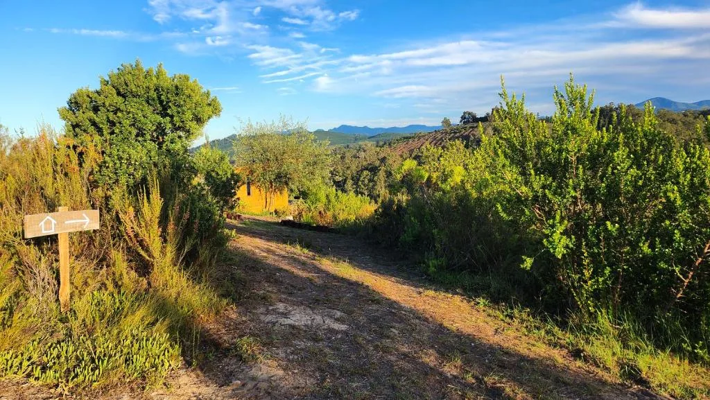 Tree-lined driveway entrance with directional sign and mountain views