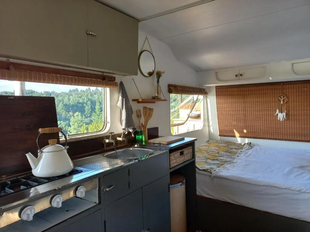 Open-plan kitchen with stove, kettle, and views through windows